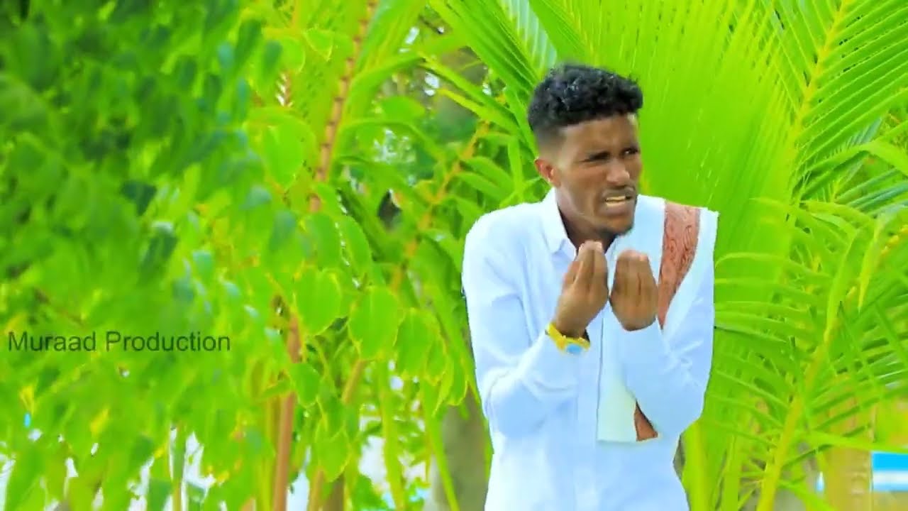 REACTION_SU,AAL IYO JAWAAB SILSILADA DHIBANE JACEYL LIBAN WADANI IYO ABDINASIR CIRO