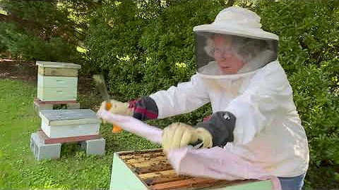 Hive Inspection and Honey Harvest July 25, 2022