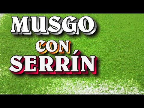 TINTAR SERRÍN PARA HACER MUSGO ARTIFICIAL PARA NACIMIENTO, DIORAMAS,O  DECORACIÓN 