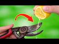Never Buy This New Tool Again! This DIY Trick Restores It Razor Sharp