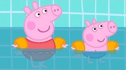 Peppa Pig Full Episodes |Swimming with Peppa and George #98
