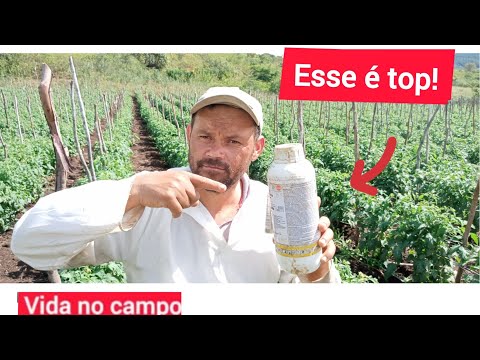 Vídeo: LC 