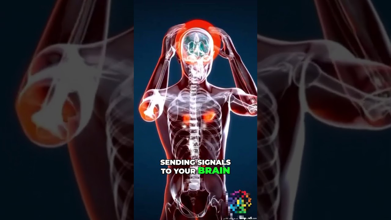 Why Your Arm Feels DEAD When You Wake Up!