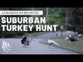 Suburban Bowhunter: Georgia Turkey