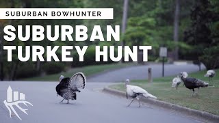 Suburban Bowhunter: Georgia Turkey