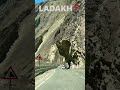 Leh ladakh roadtrip