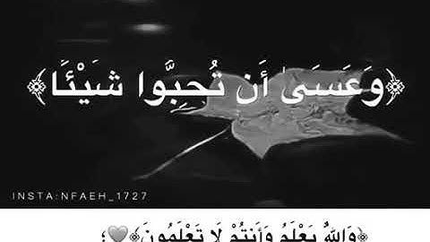 حاله واتس ﴿ وَعَسَى أَنْ تَكْرَهُوا شَيْئًا وَهُوَ خَيْرٌ لَكُمْ ﴾ ﴿من سورة البقرة- آية (216)