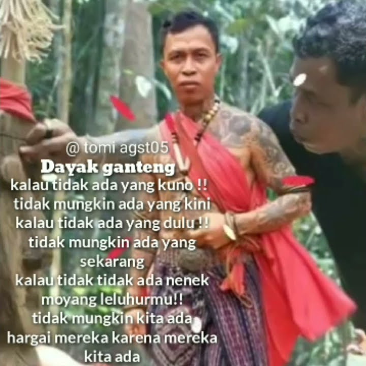 story WA dayak Kalimantan ll Questions dayak