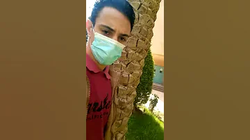 نيجى فى لفه ونروح فى لفه 
