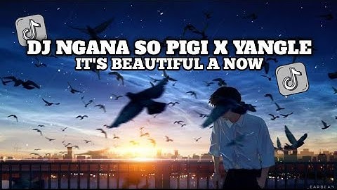 DJ NGANA SO PIGI X YANGLE X IT_S_BEAUTIFUL A NOW SLOW VIRAL TIKTOK 