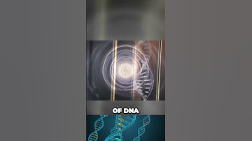 The hidden link between DNA and music