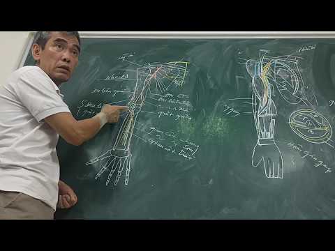 Video [GIẢI PHẪU 2019] CHI TRÊN - Bài 2.3 Động mạch trụ -... - youtube