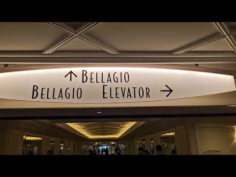 Secreto del Casino la sala de black-jack