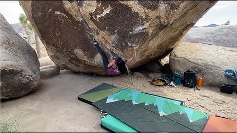 Strawberry Contraceptives V7, Joshua Tree
