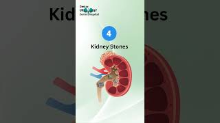 Your kidneys work silently every day—take care of them before problems arise!