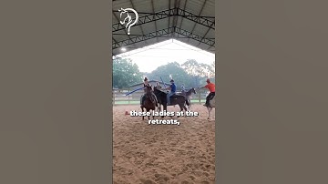 Quick Tips On Desensitizing Your Horse With A Pool Noodle! Part 5!| The Horse Guru - Michael Gascon