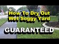 Wet Soggy Yard?