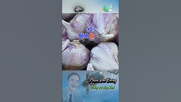 Bác sỹ khuyến cáo 7 trường hợp cấm kỵ không được ăn tỏi