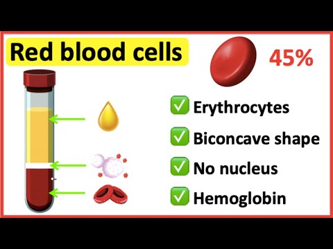 ভিডিও: লোহিত রক্তকণিকা কি সঞ্চালিত হয়?
