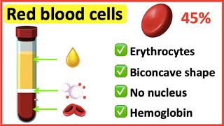 Red blood cells | What do red blood cells do?