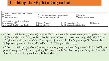 Hướng dẫn báo cáo ADR