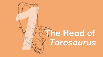 01 The Head of Torosaurus | Join ZHAO Chuang in Drawing Torosaurus Aubrey & Dabei
