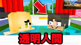 透明人間になったらヤバいことになったwww【マイクラ・マインクラフト】