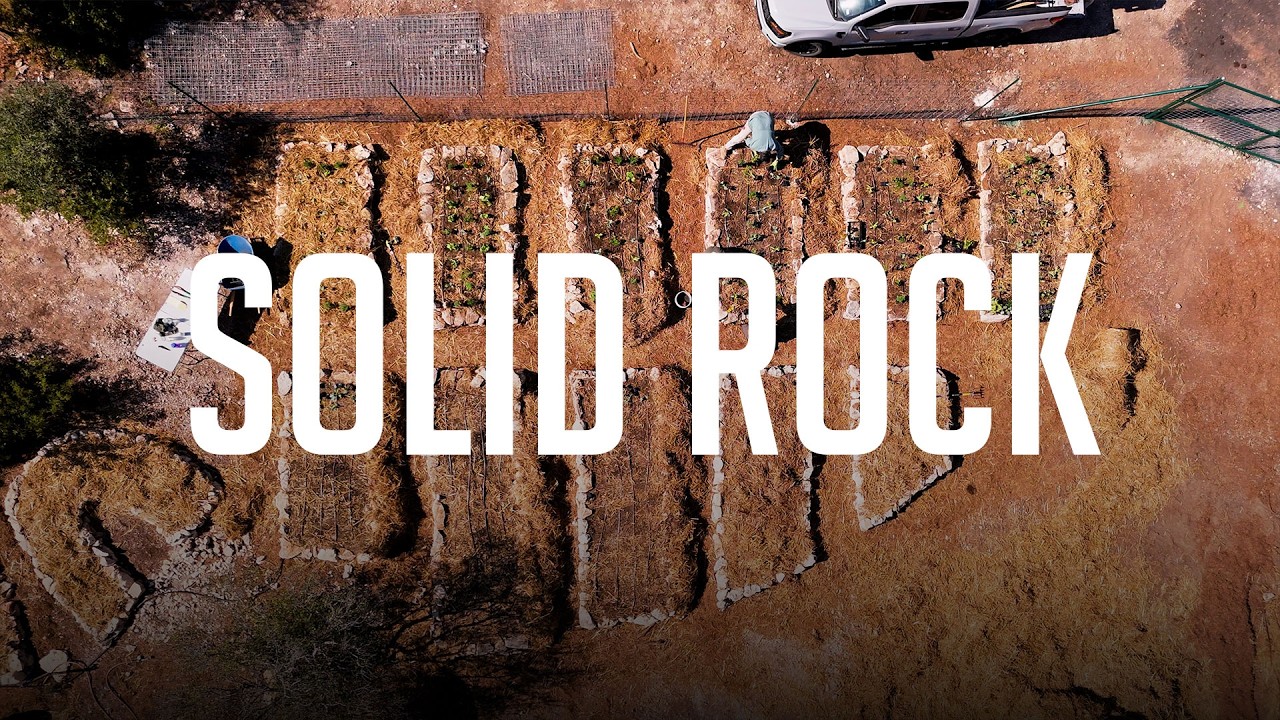 Мы выращиваем тысячи фунтов продуктов на Solid Rock | Project Backbone, выпуск 2