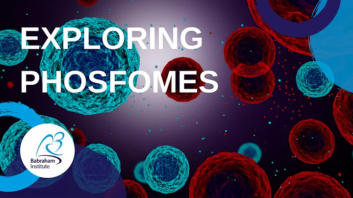 SEMINAR  Exploring PhoSfomes: from basic biology t...