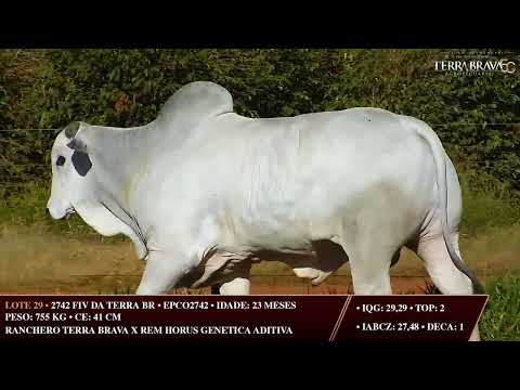 LOTE 29   EPCO 2742