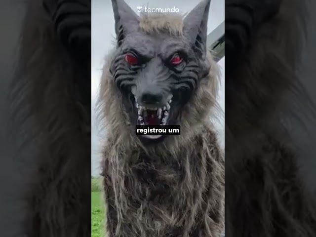 Imagem de LOBO ROBÔ ASSUSTADOR CONTRA ATAQUES DE URSOS NO JAPÃO