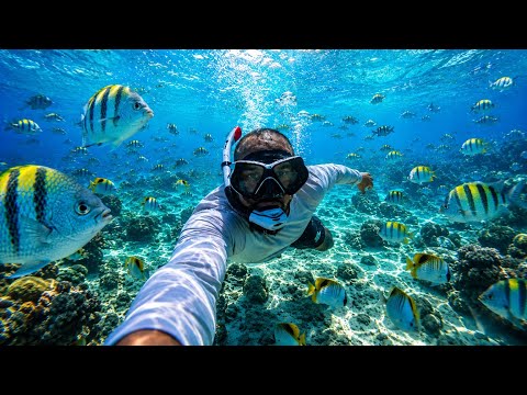 Mira lo que ENCONTRÉ en OCEANCAY 🏝️🛳️