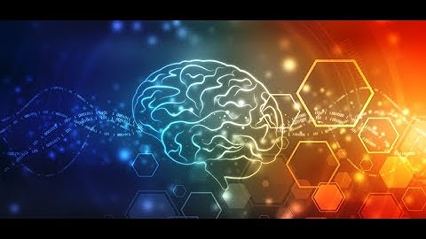 WCLN - The Brain 1 - Biology