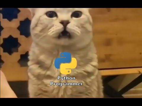 Python programmer trying C++ for the first or maybe the last time.