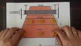 TAKIM SPORLARI VOLEYBOL OYUN KURALLARI 1