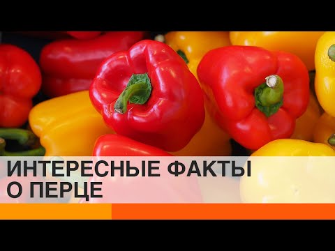 Почему перец называют болгарским