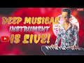 Deep Musical Instrument is live!