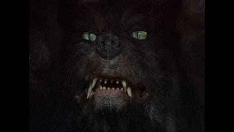 Dogs... I Hate Dogs...  Penumbra Overture: Part 2