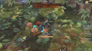 Necromancer Flesh Cannon Test