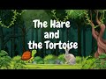 Story time - THE HARE AND THE TORTOISE | Заяц и черепаха | Dovşan və tısbağa