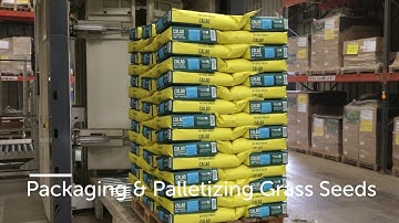 5202 Graszaden Verpakken & Palletiseren 10kg papieren zakken
