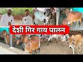 देशी गिर गाय पालनातून लखोचे उत्पन्न/Desi Cow Farm