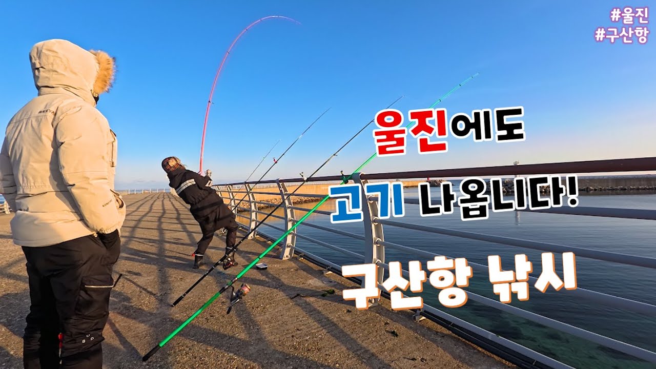 추운 날씨에도 울진은 고기가 있습니다!