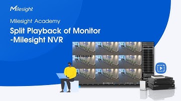 Milesight Academy: Split Playback of Monitor - Milesight NVR