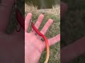 Tornado sirens!!!!#jesus #fishing #mustwatch