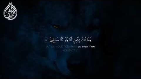 حالات واتس اب قرآن|القارئ أحمد الشافعي