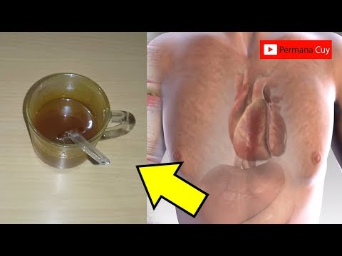 Video Herbal Penyakit Maag