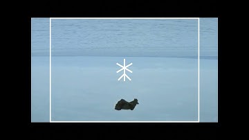 death of codes x Crystal Cage - A Crack In The World (A demo from Generation Doom)