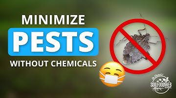 Suppressing Pests and Diseases Using the Soil Food Web | Soil Food Web School