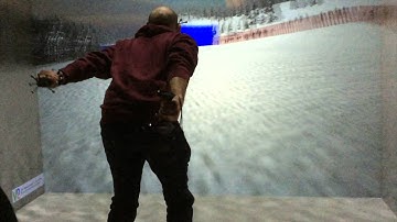 SlalomPenguin-VR: A Game Interface for Locomotion in VR Environments